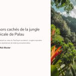 1 Tresors caches de la jungle tropicale de Palau