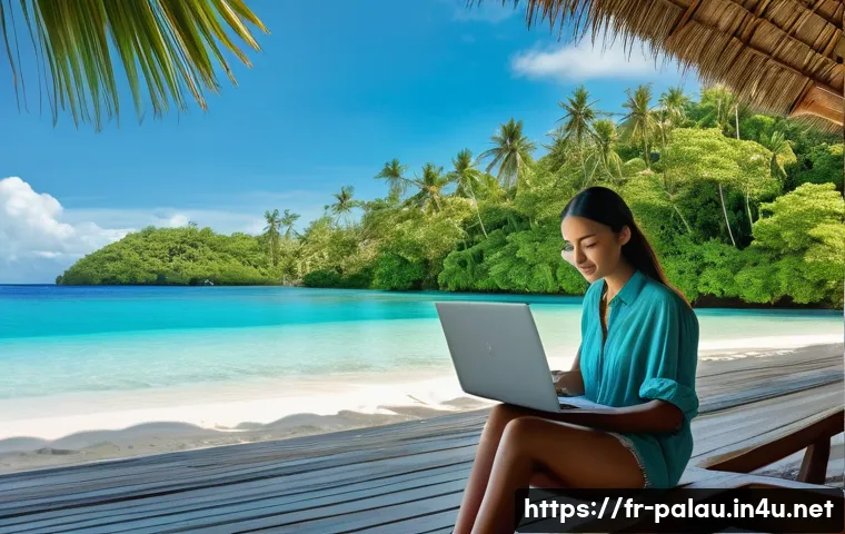 팔라우에서의 원격 근무 가능성 관련 이미지 2