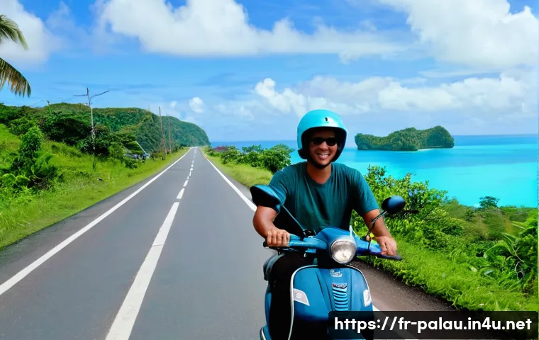 팔라우에서 거주하기 위한 필수 정보 관련 이미지 2