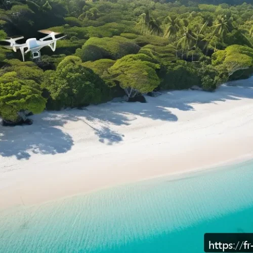 Home 17 팔라우에서 드론 촬영 가능 여부 - A professional drone pilot preparing for flight on a tropical island beach in Palau during early mor...