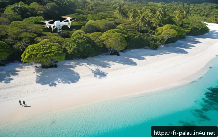 팔라우에서 드론 촬영 가능 여부 - A professional drone pilot preparing for flight on a tropical island beach in Palau during early mor...